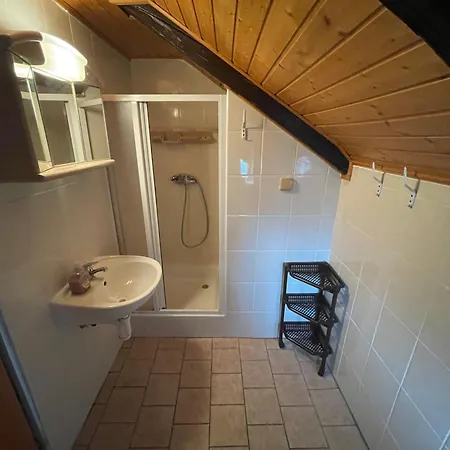 Svycarsky Dvur Apartamento Janske Lazne